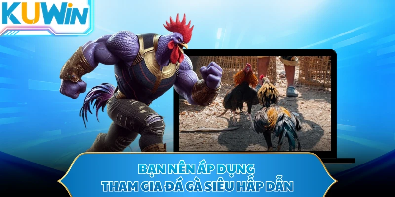 Bạn nên áp dụng tham gia đá gà siêu hấp dẫn
