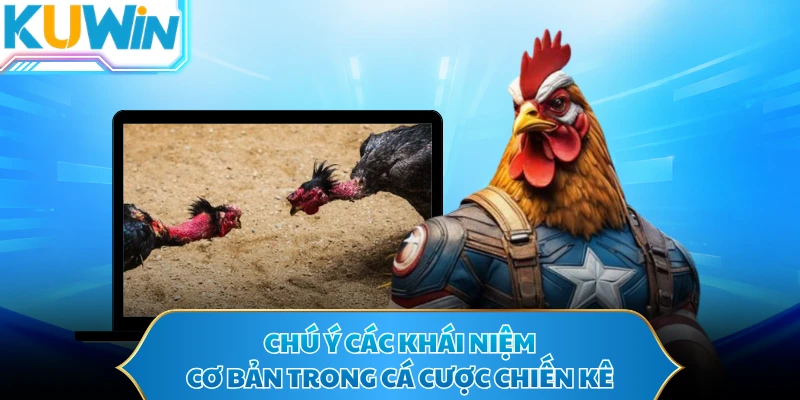 Chú ý các khái niệm cơ bản trong cá cược chiến kê