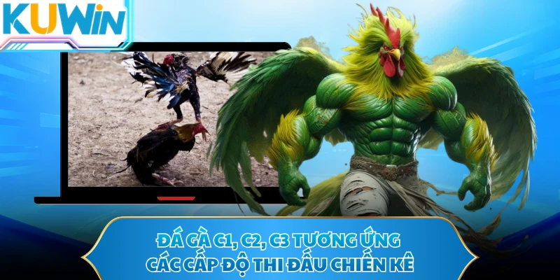 Đá gà C1, C2, C3 tương ứng các cấp độ thi đấu chiến kê