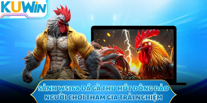Sảnh WS168 đá gà thu hút đông đảo người chơi tham gia trải nghiệm