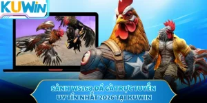 Sảnh WS168 Đá Gà Trực Tuyến Uy Tín Nhất 2026 Tại KUWIN