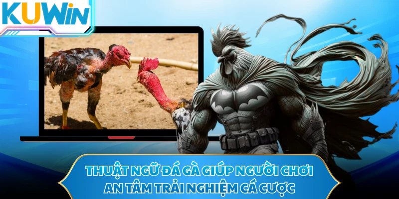 Thuật ngữ đá gà giúp người chơi an tâm trải nghiệm cá cược